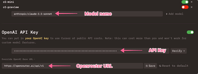 How to Use Local Models with Cursor AI How to Use Local Models with Cursor AI – image 46